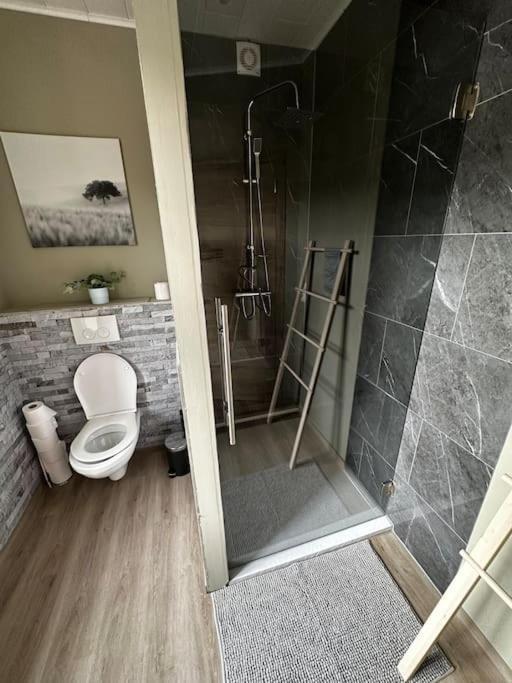 Le Coin Rocheux Holiday home La Roche-en-Ardenne